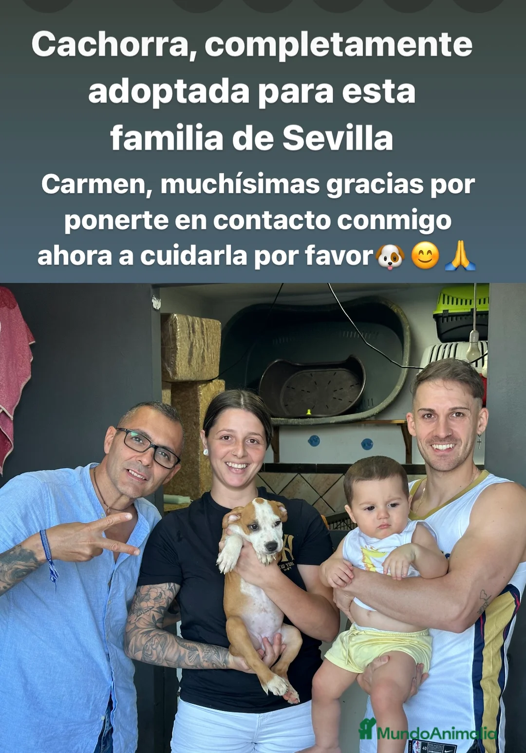 Imagen de galería {{count}}