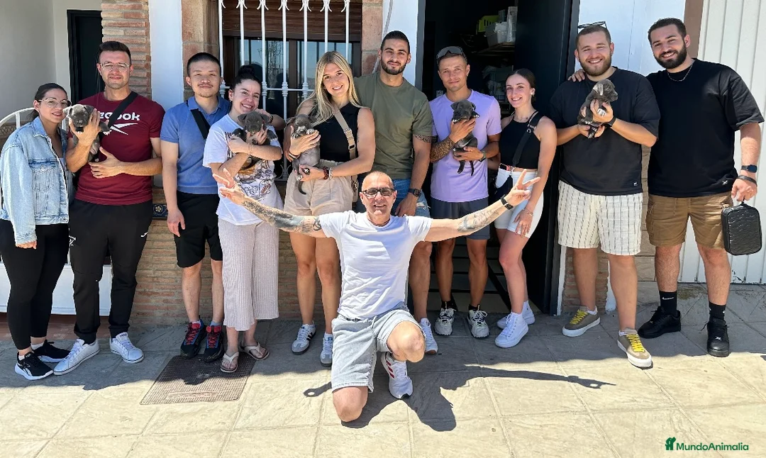 Imagen de galería {{count}}