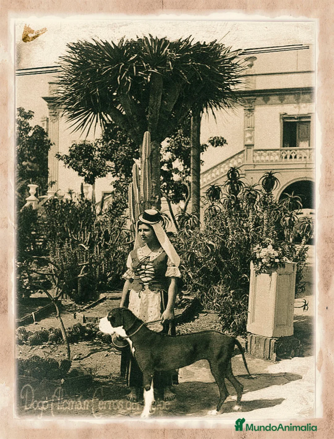 Imagen de galería {{count}}