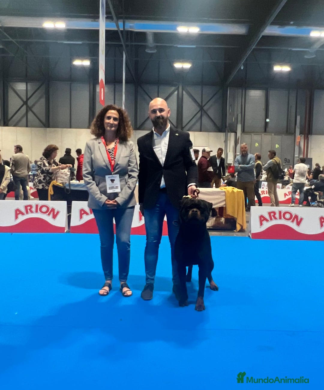 Rottweiler perros para monta: ROTTWEILER CAMPEÓN DE ESPAÑA PARA MONTAS - Anuncio 6