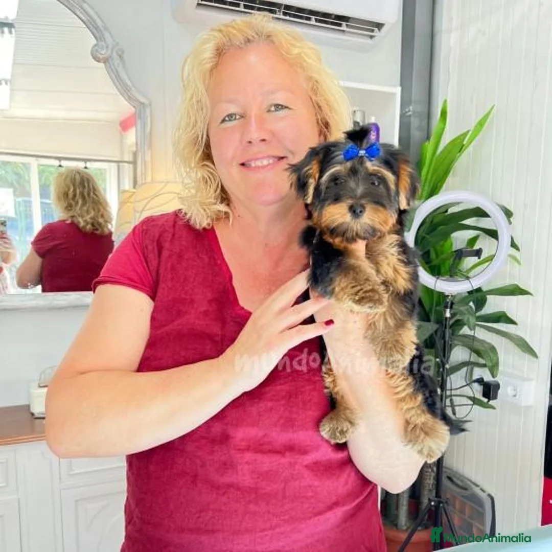 Imagen de galería {{count}}