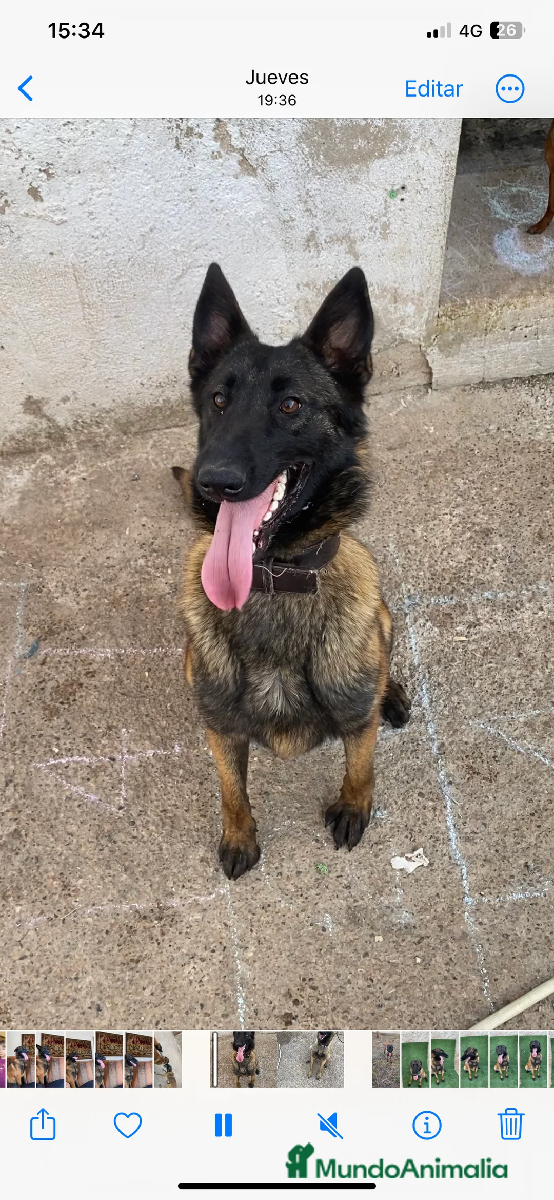 Imagen de galería {{count}}