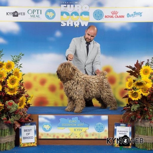 Imagen de galería {{count}}