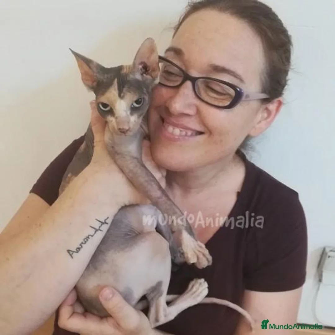 Imagen de galería {{count}}