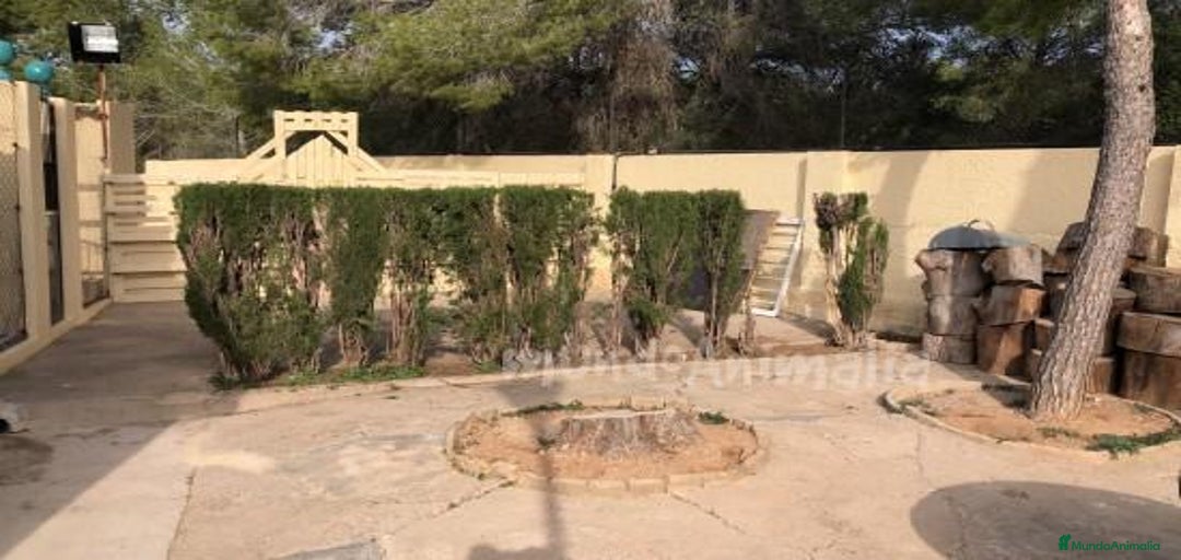 Imagen de galería {{count}}