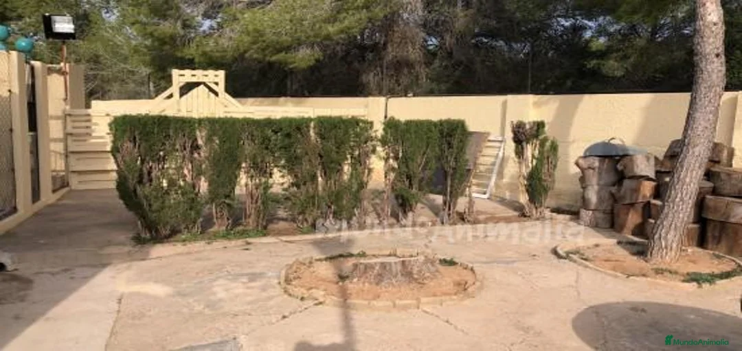 Imagen de galería {{count}}