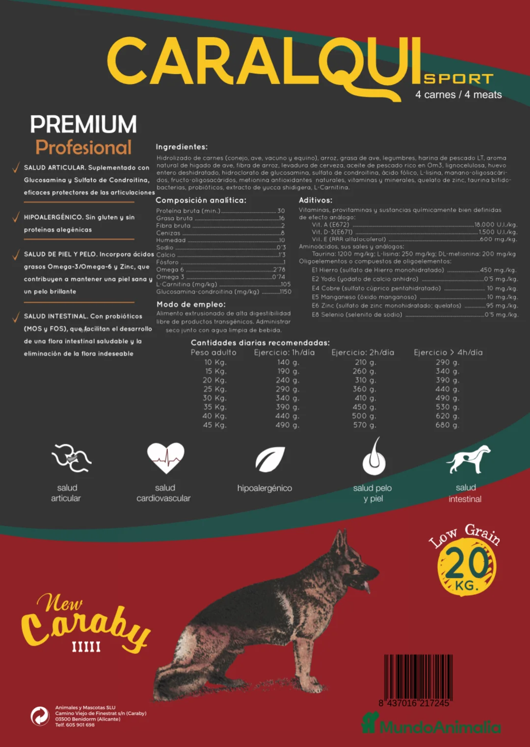 Pinscher Alemán perros en venta: Benidorm Todos los servicios para tu mascota  en Alicante - Anuncio 21