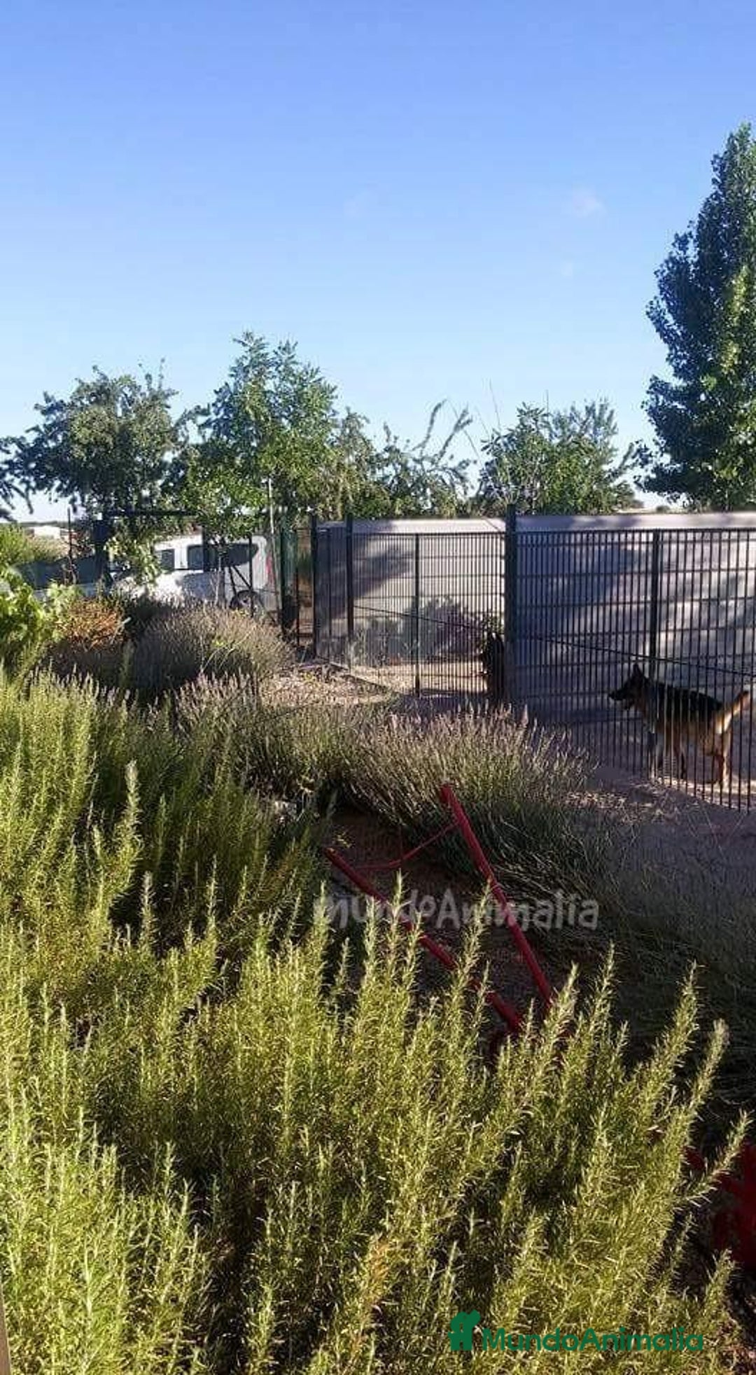 Imagen de galería {{count}}