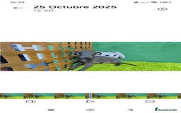 Pequeño Lebrel Italiano perros en venta: Pequeño lebrel italiano  - Imagen 9