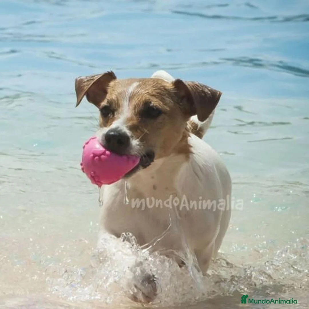 Imagen de galería {{count}}