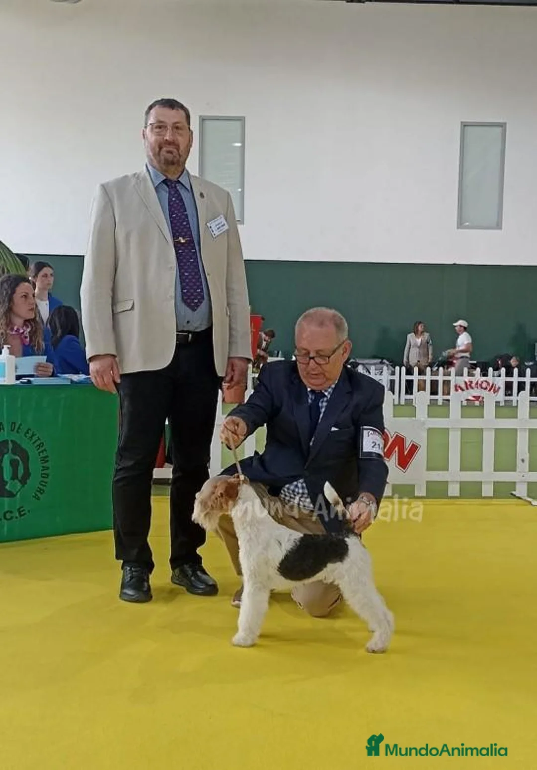 Imagen de galería {{count}}