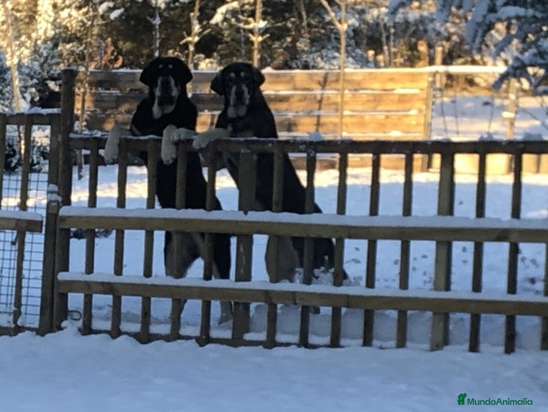 Imagen de galería {{count}}