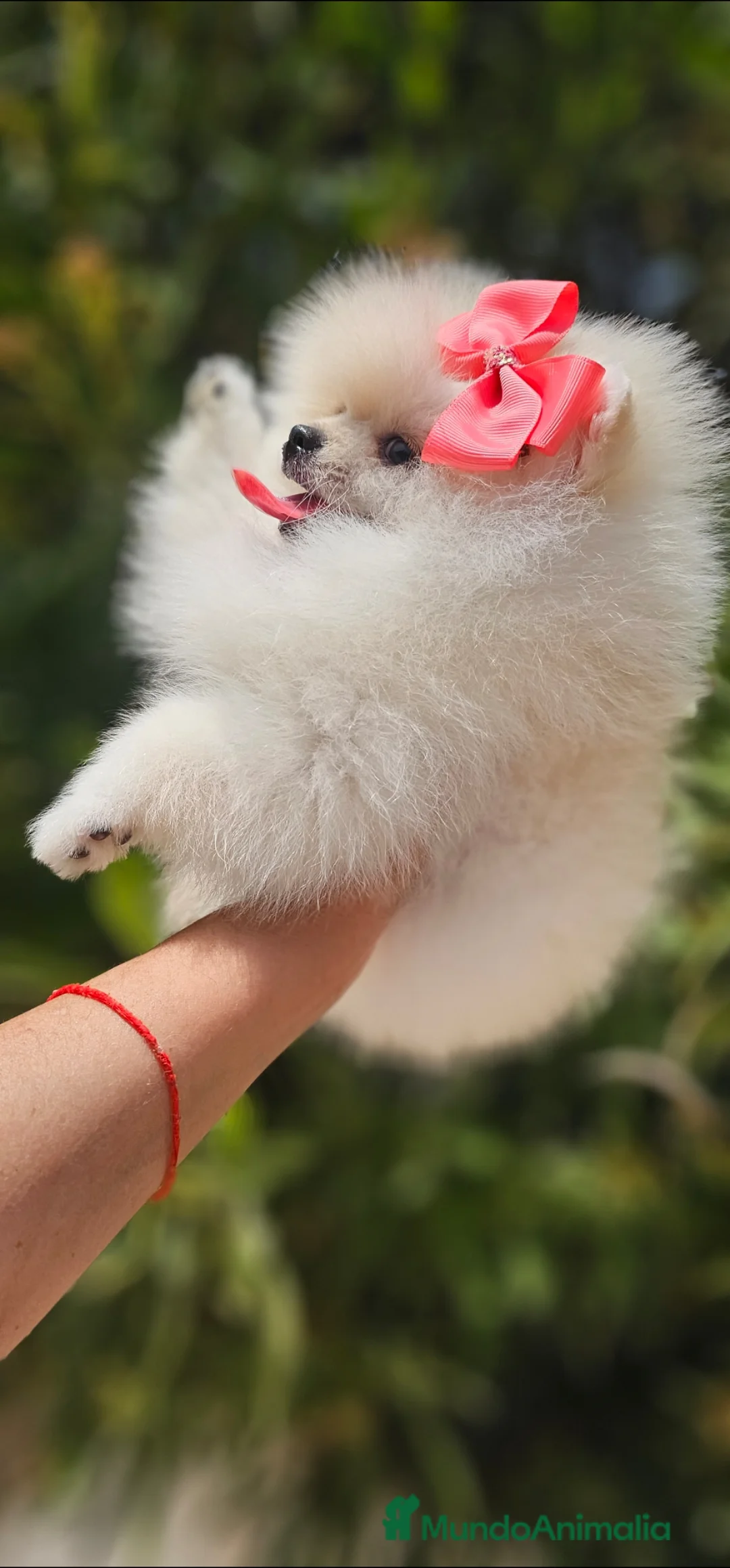 Imagen de galería {{count}}