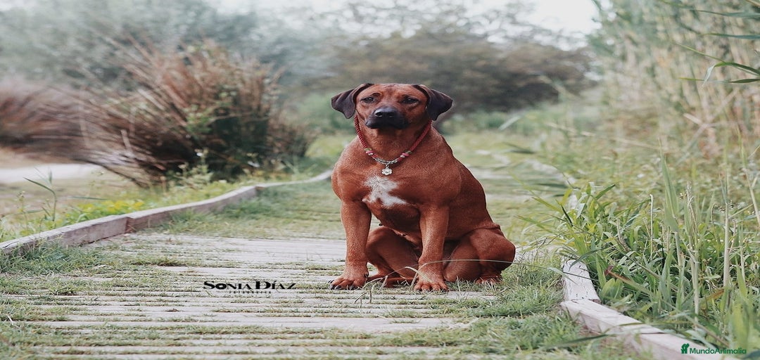 Imagen de galería {{count}}