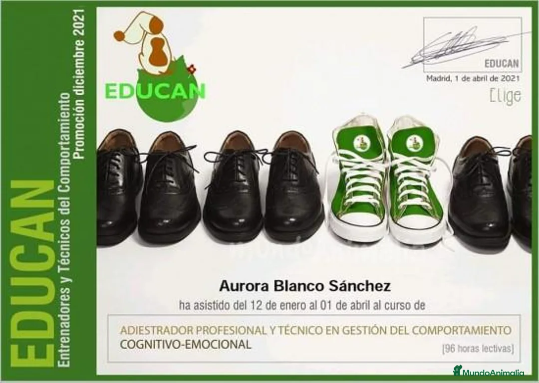 Imagen de galería {{count}}