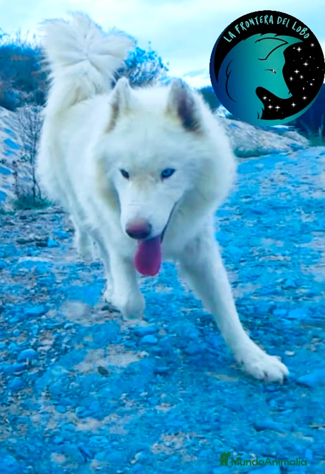 Imagen de galería {{count}}