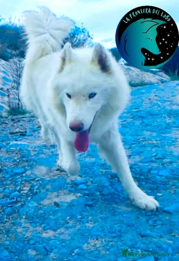 Imagen de galería {{count}}