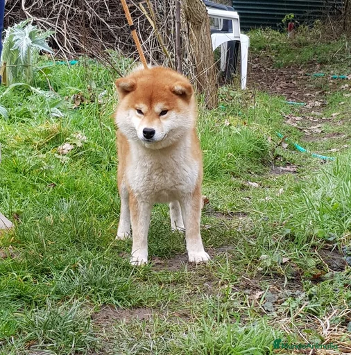 Imagen de galería {{count}}