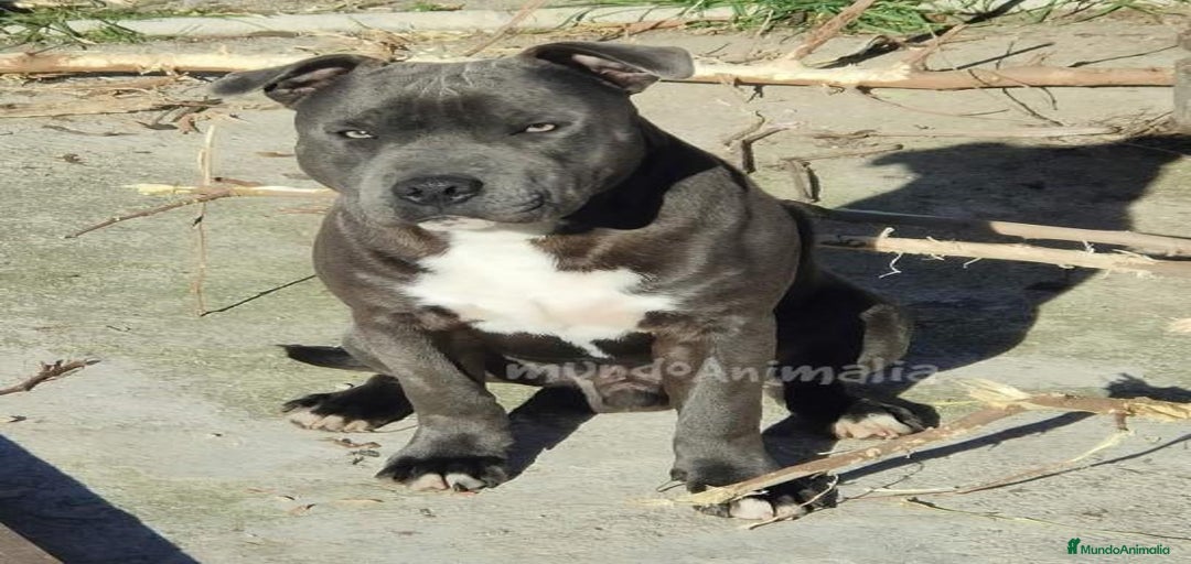 Imagen de galería {{count}}