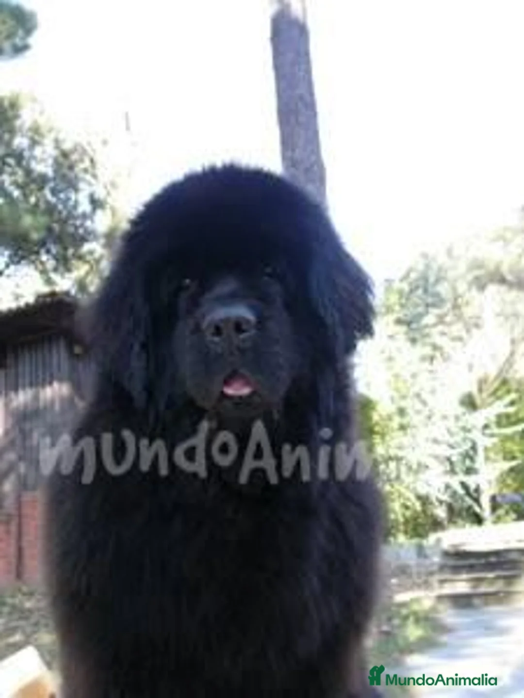 Imagen de galería {{count}}