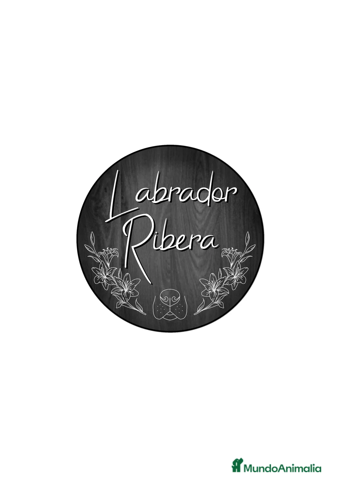 Imagen de galería {{count}}