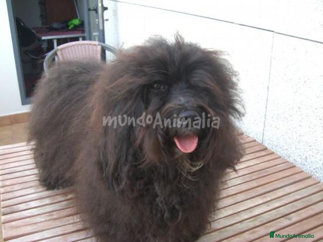 Imagen de galería {{count}}