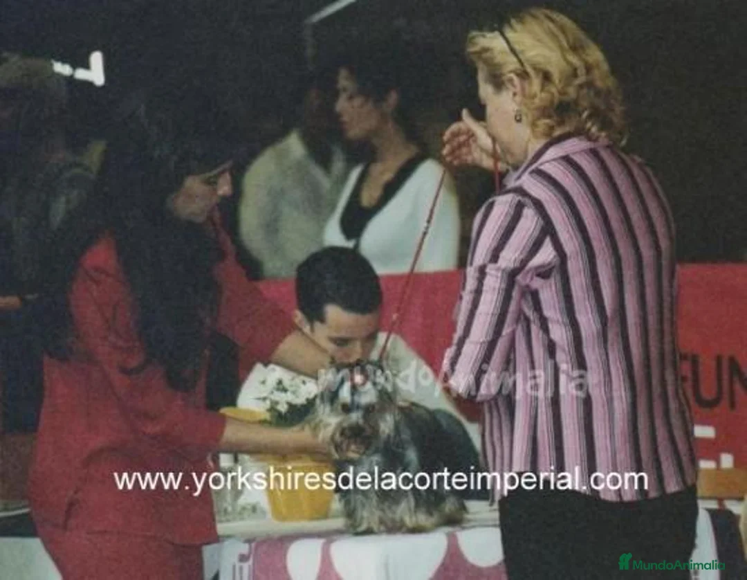 Imagen de galería {{count}}