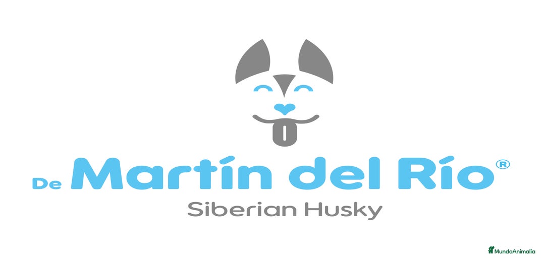 Imagen de galería {{count}}