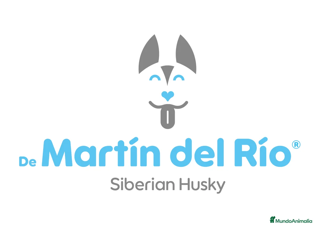 Imagen de galería {{count}}