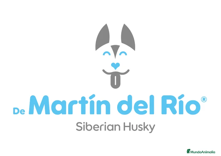 Imagen de galería {{count}}