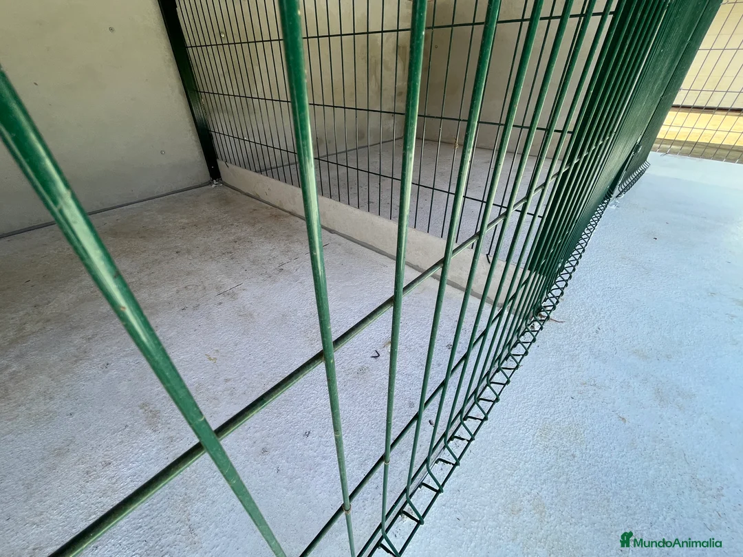 Imagen de galería {{count}}