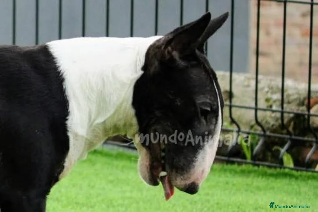 Imagen de galería {{count}}