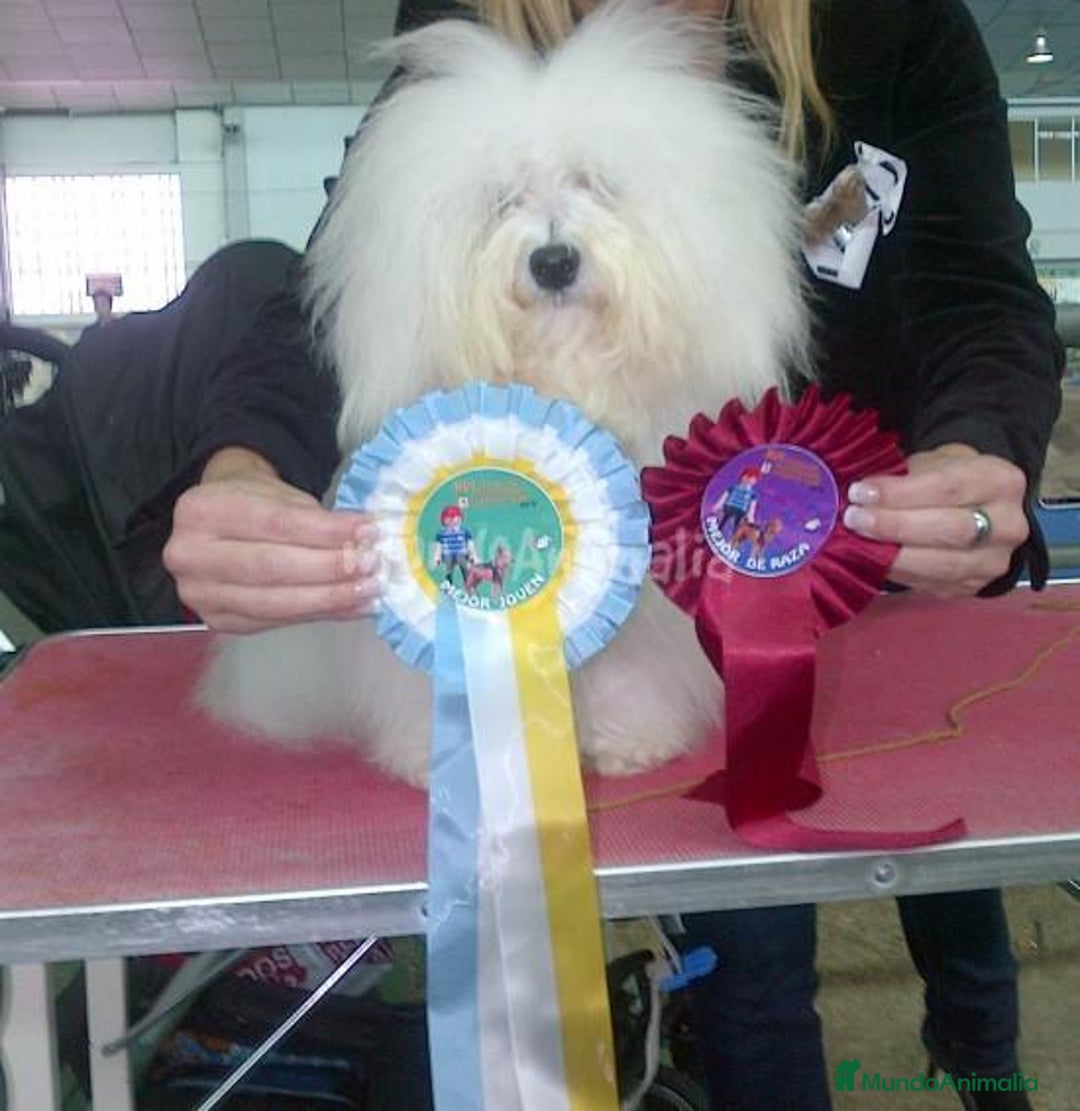 Imagen de galería {{count}}