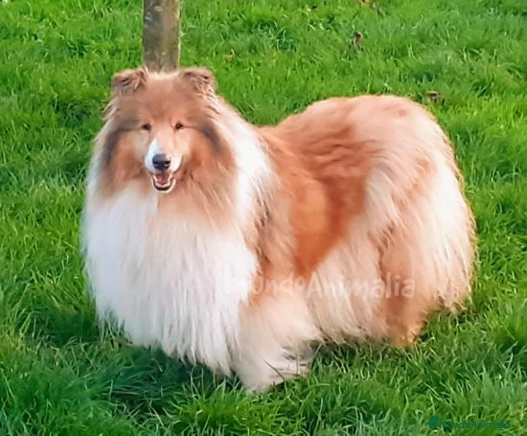 Imagen de galería {{count}}