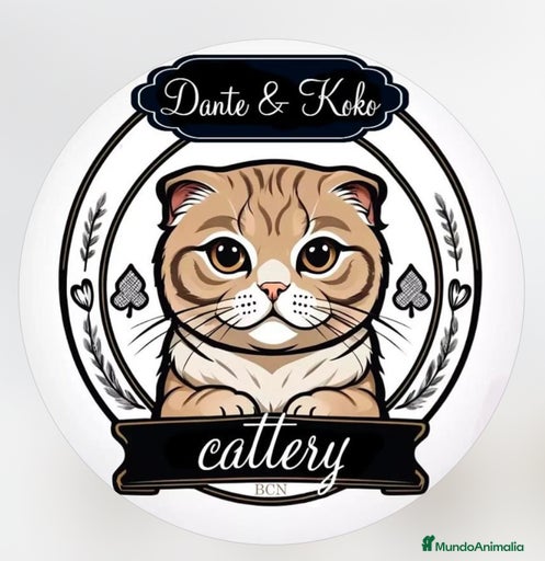 Imagen de galería {{count}}