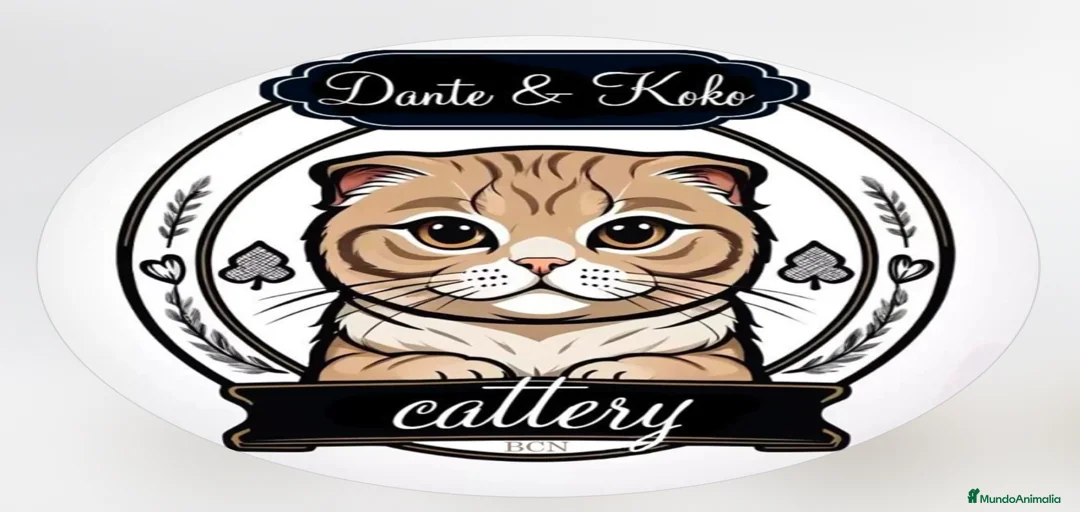 Imagen de galería {{count}}