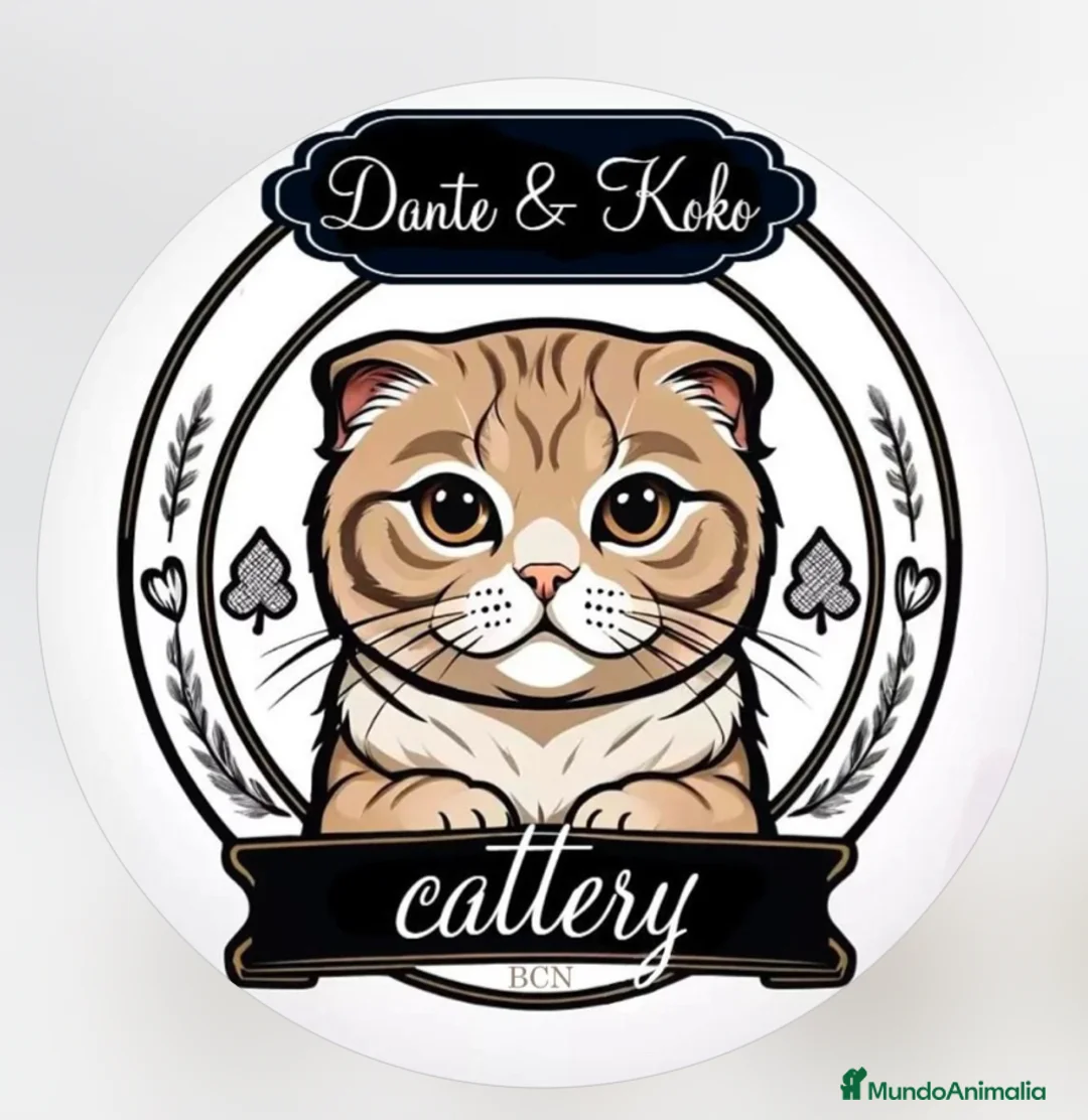 Imagen de galería {{count}}