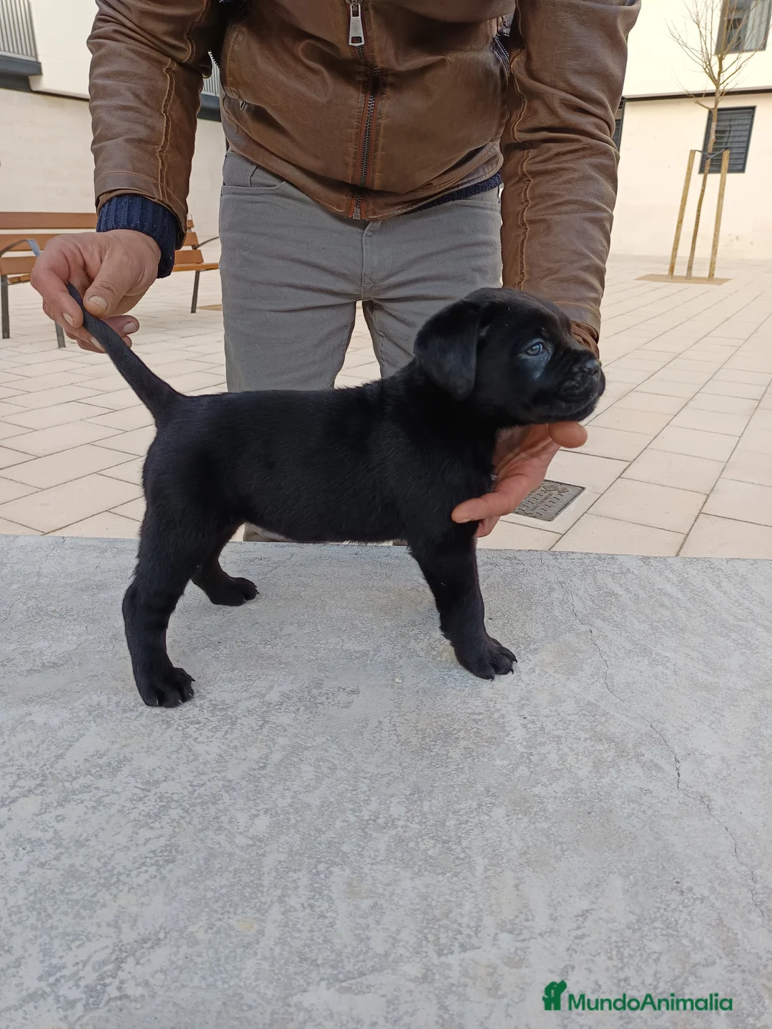 Imagen de galería {{count}}