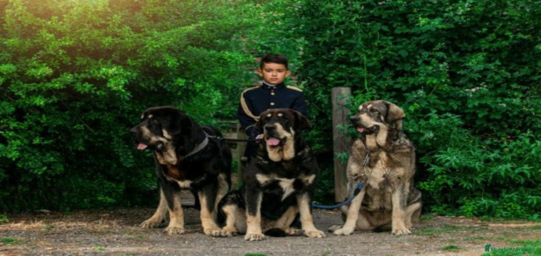 Imagen de galería {{count}}