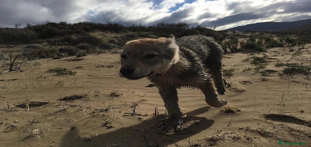 Imagen de galería {{count}}