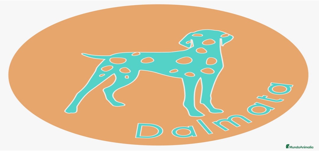 Imagen de galería {{count}}