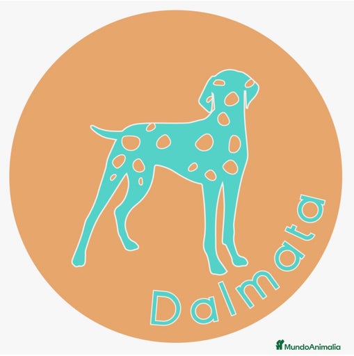 Imagen de galería {{count}}