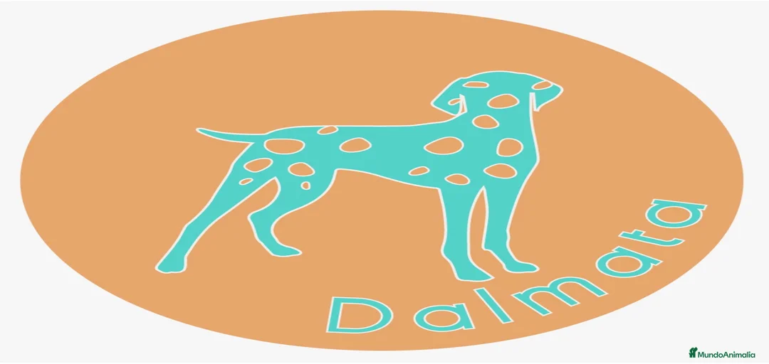 Imagen de galería {{count}}