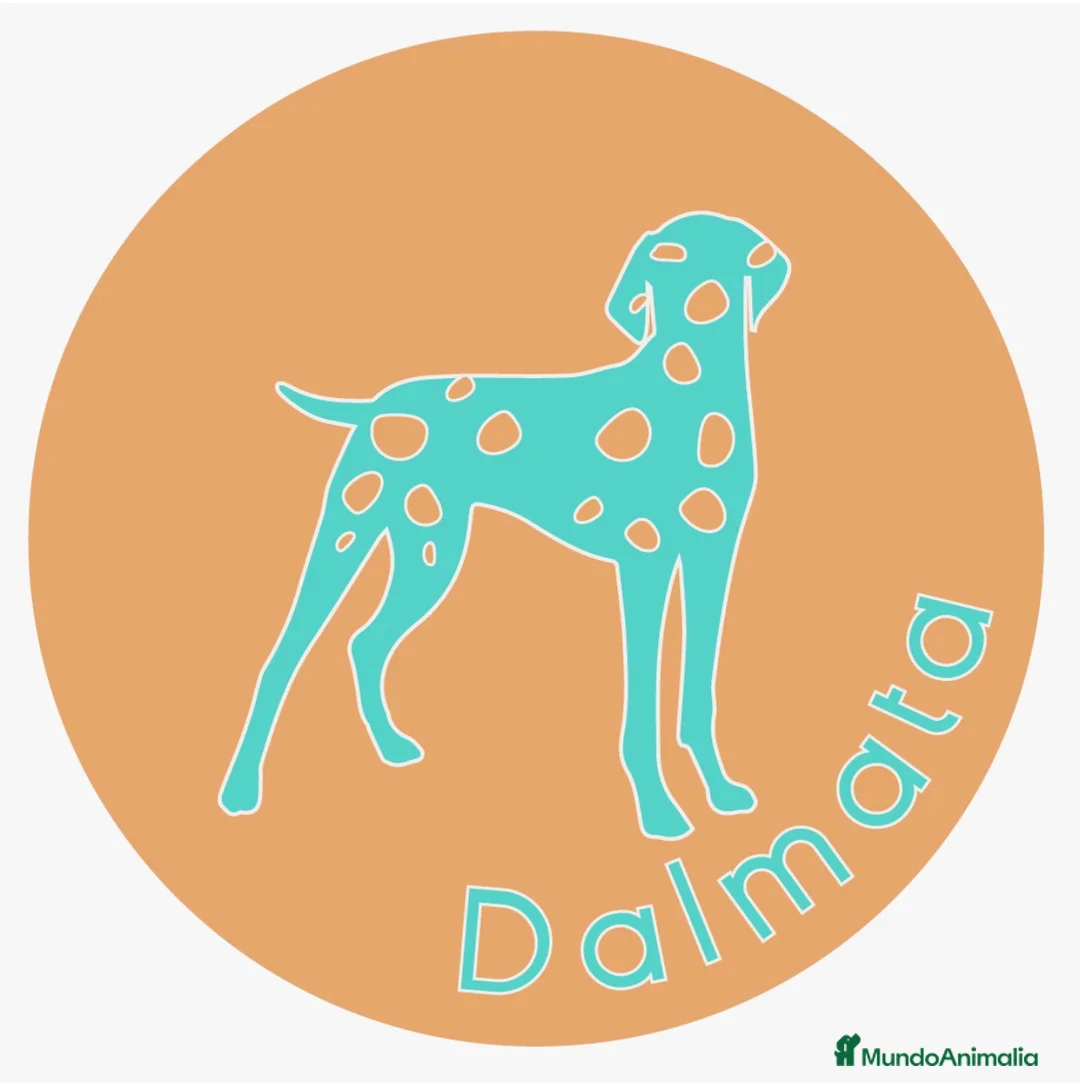 Imagen de galería {{count}}