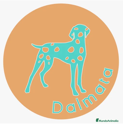 Imagen de galería {{count}}