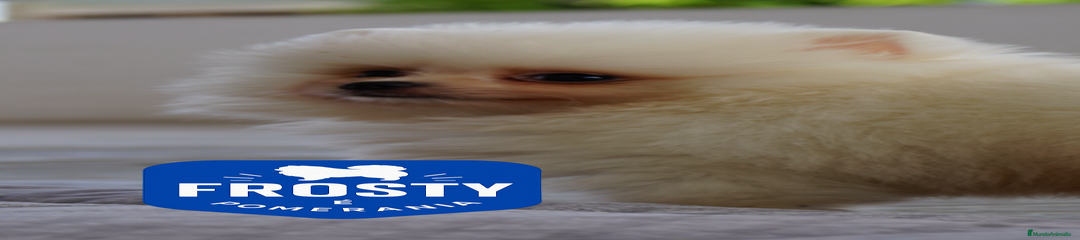FROXTY