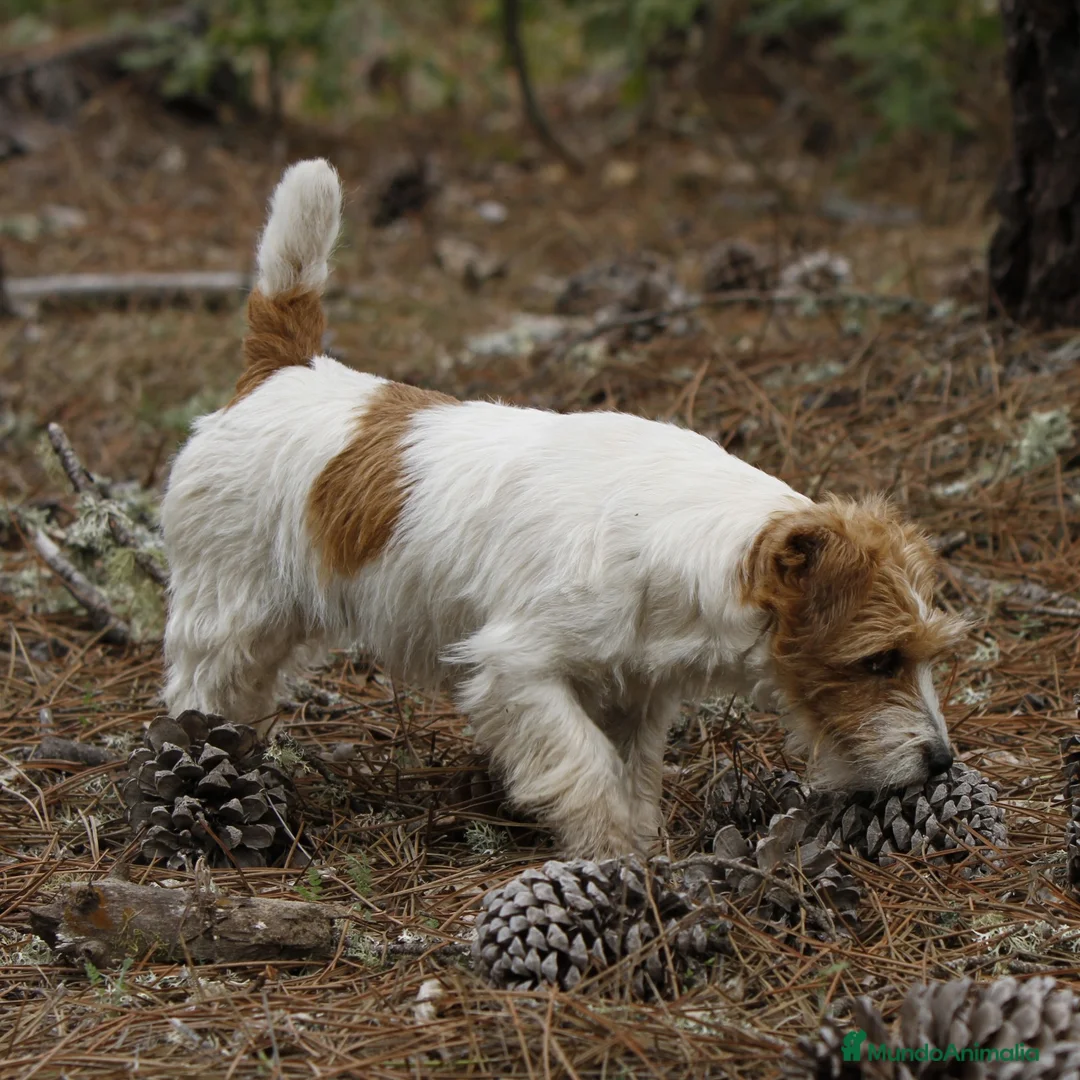 Imagen de galería {{count}}