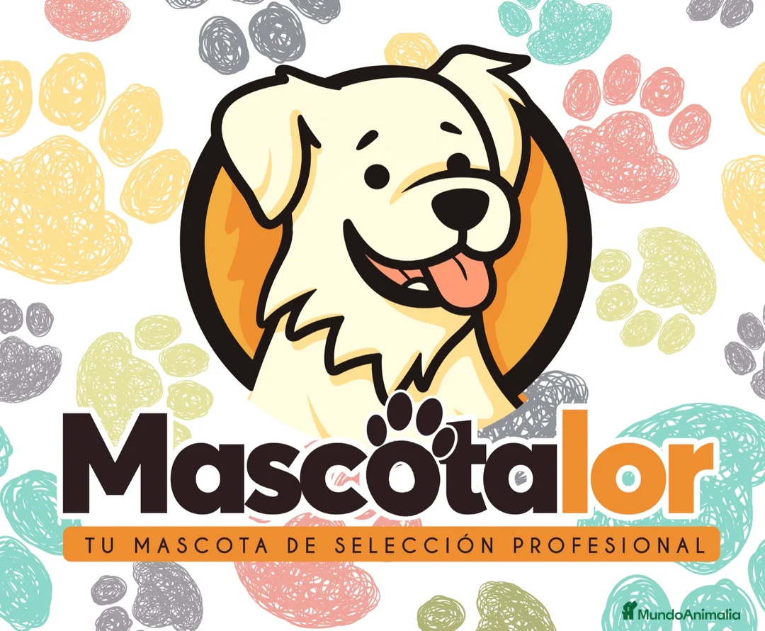 Imagen de galería {{count}}