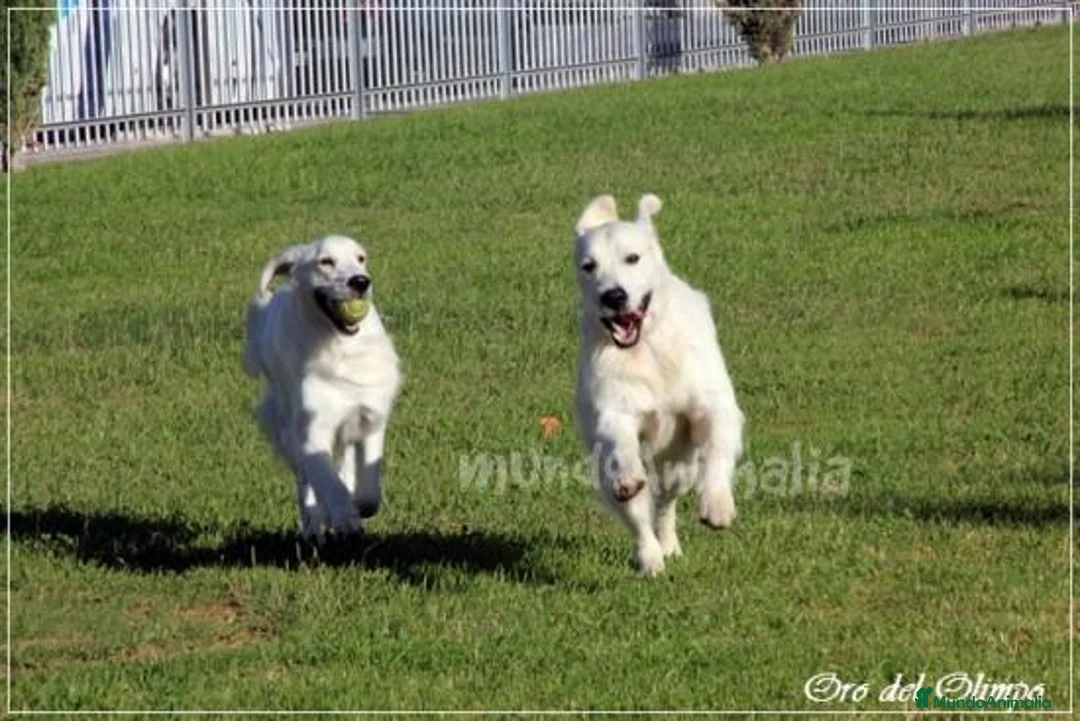 Imagen de galería {{count}}