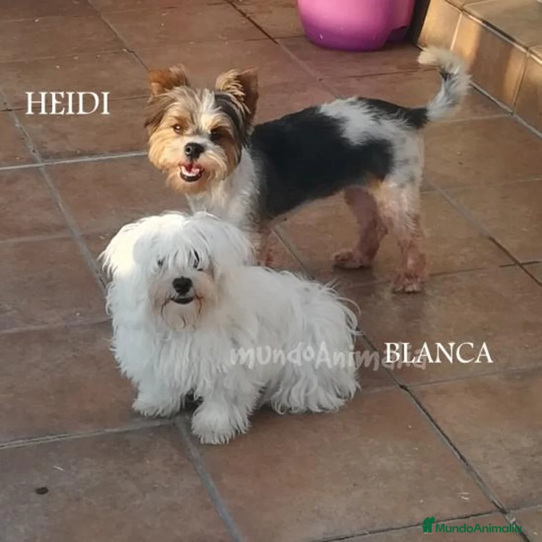 Imagen de galería {{count}}